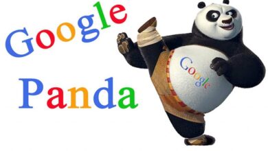 Panda Back là gì? Những yếu tố quan trọng nhất của GOOGLE PANDA BACK? 11